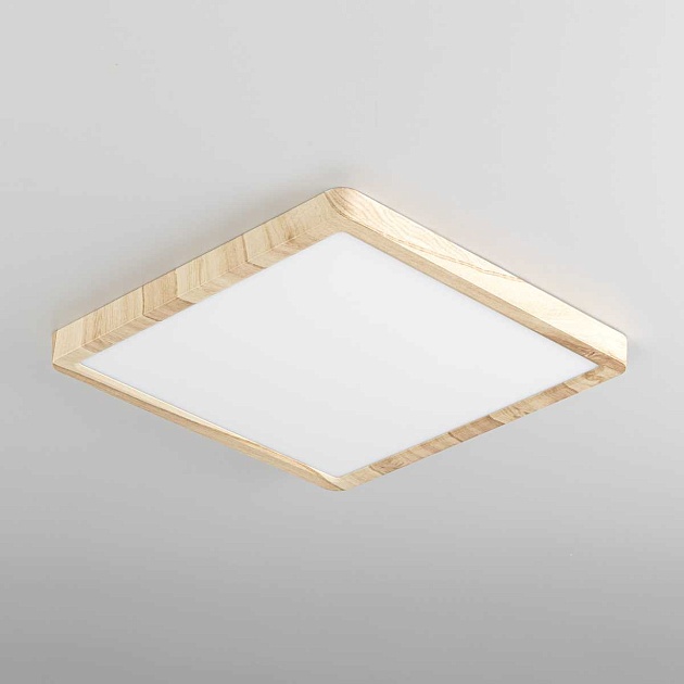 Светильник накладной Citilux Бейсик CL738K242V Фото № 10