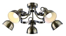 Потолочная люстра Arte Lamp Martin A5216PL-5AB 1