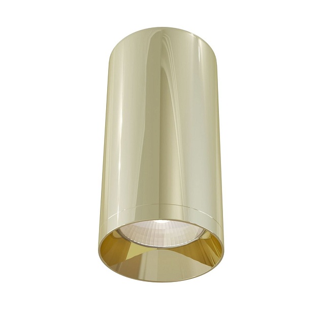 Потолочный светильник Maytoni Technical Focus C010CL-01G Фото № 1