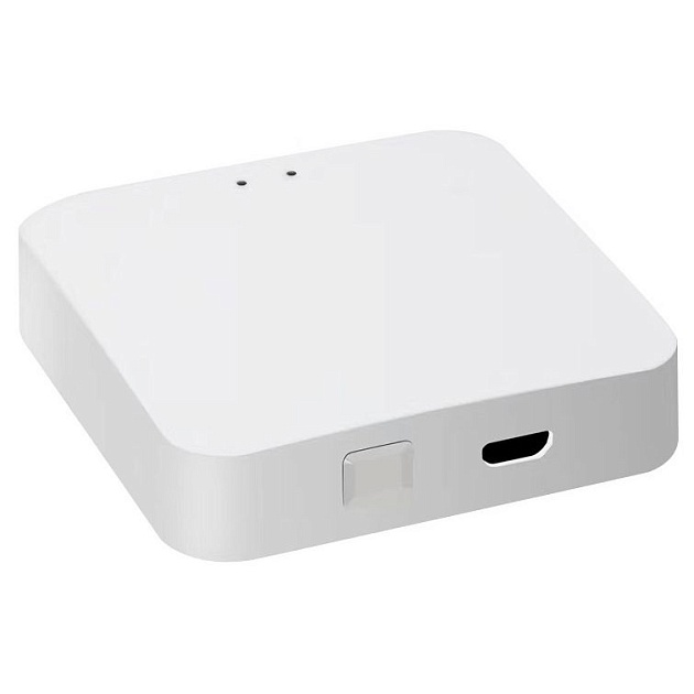 Беспроводной шлюз ДУ iLedex Technical Vision ZGB 1 изображение 1 Беспроводной шлюз ДУ iLedex Technical Vision ZGB 1 Фото № 1