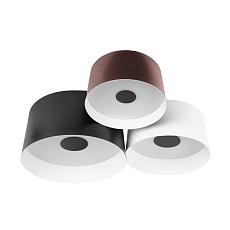 Потолочный светодиодный светильник Loft IT Duo 10360/3