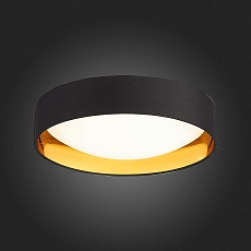 Потолочный светодиодный светильник Evoluce Orbio SLE201102-01 5