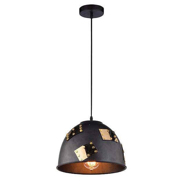 Подвесной светильник Arte Lamp Eurica A6023SP-1BK Фото № 1