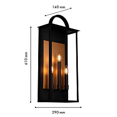 Уличный настенный светильник Favourite Lume 4299-3W 1