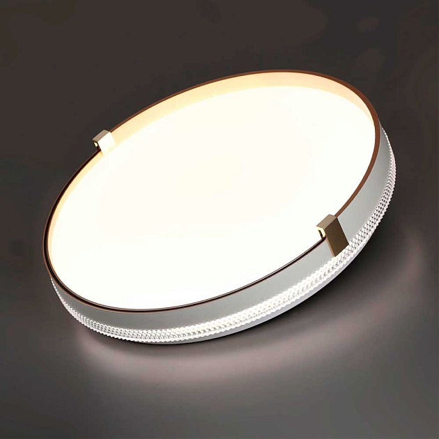 Настенно-потолочный светодиодный светильник Sonex Pale Olidi White 7646/CL фото 2