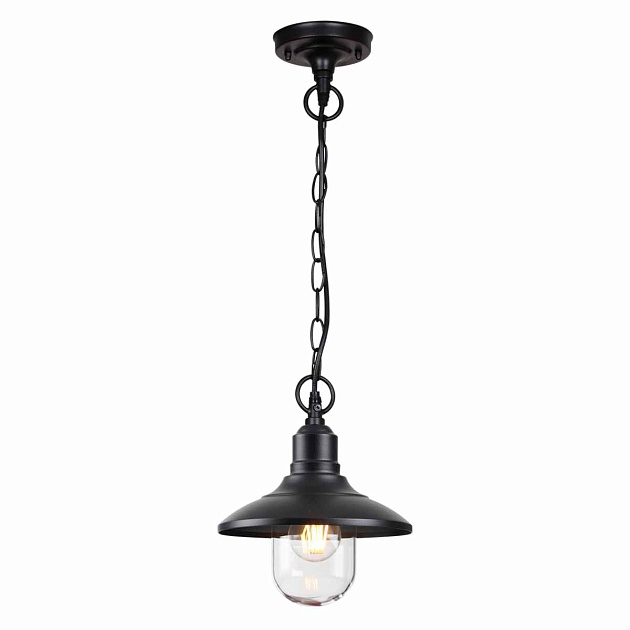 Уличный подвесной светильник Odeon Light Nature Campa 4965/1 фото 3