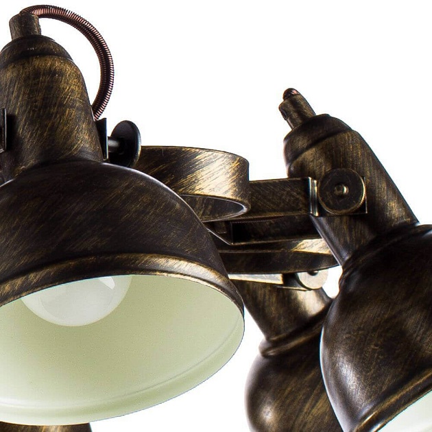 Потолочная люстра Arte Lamp Martin A5216PL-8BR фото 4