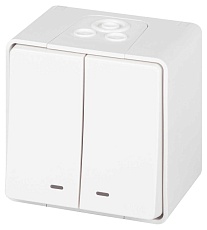 Выключатель ЭРА Эксперт 11-1505-01 двойной с подсветкой IP55 10АХ-250В ОУ белый Б0063282