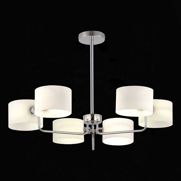 Потолочная люстра Evoluce Aerin SLE1121-102-06 Фото № 5