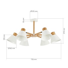 Потолочная люстра Evoluce Buve SLE103702-06 1