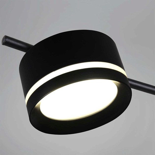 Потолочная люстра Reluce 10590-0.3-10 Black изображение 2 Потолочная люстра Reluce 10590-0.3-10 Black Фото № 2