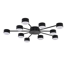 Люстра Lumion COMFI 8344/10C