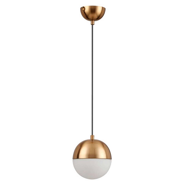 Подвесной светильник Odeon Light Pendant Pinga 4960/1 изображение 1 Подвесной светильник Odeon Light Pendant Pinga 4960/1 Фото № 1