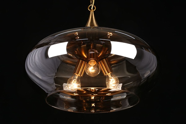 Подвесная люстра Aployt Franko APL.601.16.03 Фото № 5