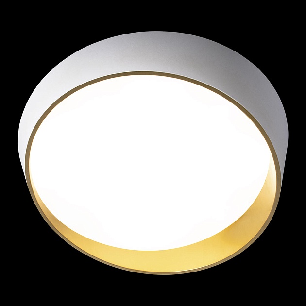 Потолочный светодиодный светильник Loft IT Coin 10199 White изображение 5 Потолочный светодиодный светильник Loft IT Coin 10199 White Фото № 5
