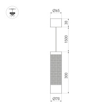 Подвесной светодиодный светильник Arlight Sp-Spicy-Hang-R70-13W Day4000 033666 1