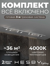 Накладная однофазная трековая система Hesby Lighting Skylite №3 со светильниками HSBL_kompl_S003_NI3W4K