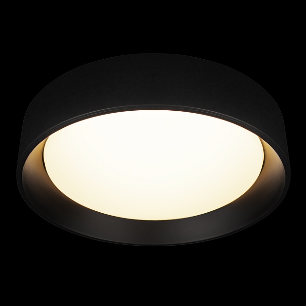 Потолочный светильник Loft it Coin 10202 BB Фото № 7