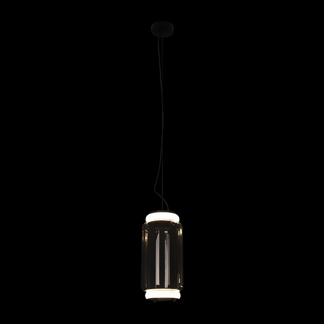 Подвесной светодиодный светильник Loft IT Noctambule 10194/S Фото № 4