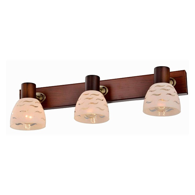 Спот Toplight Shayla TL3730Y-03BB Фото № 1