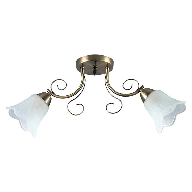 Потолочный светильник ЭкономСвет 12157/2AB WT Фото № 1