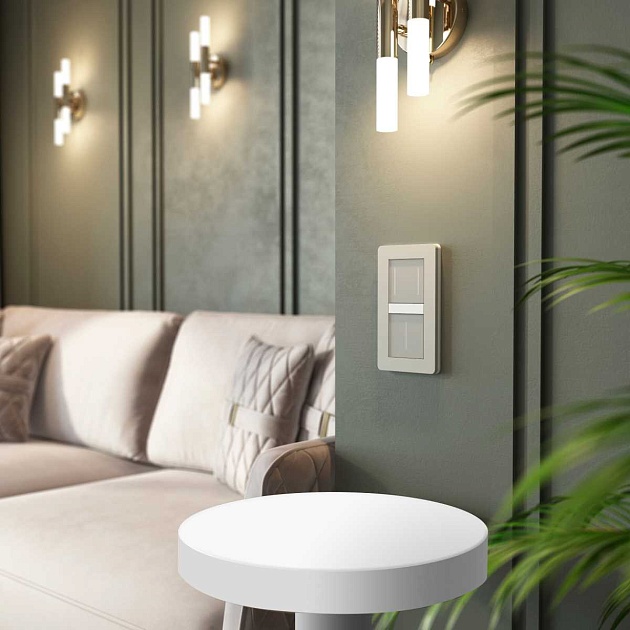 Умный сенсорный диммер (дымчатый) W3443141/ a069766 Фото № 15