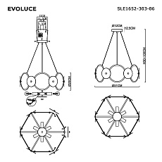 Подвесная люстра Evoluce Desi SLE1652-303-06 1