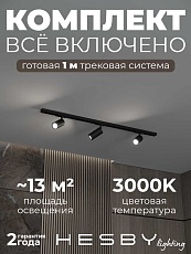 Накладная однофазная трековая система Hesby Lighting Skylite №3 со светильниками HSBL_kompl_S003_NI1B3K