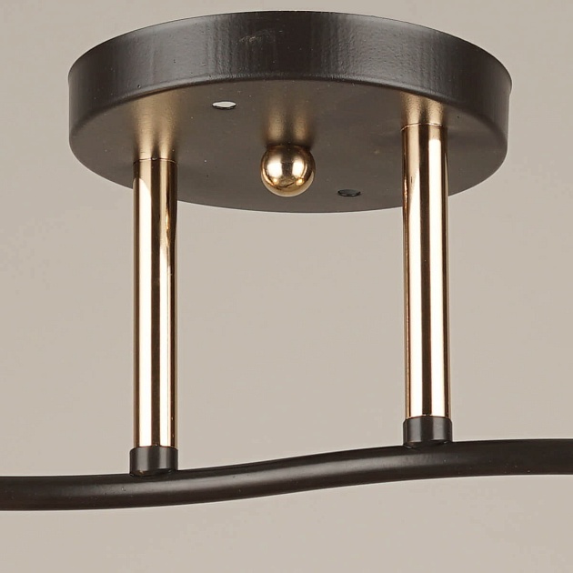 Потолочный светильник Reluce 04528-0.3-02 Фото № 2