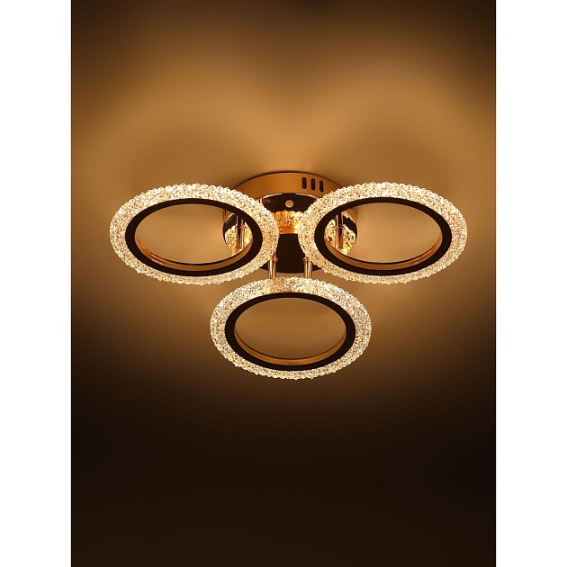 Потолочная светодиодная люстра Rivoli Evlalia 6178-703 Б0068399 Фото № 8