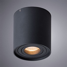 Потолочный светильник Arte Lamp Galopin A1460PL-1BK 2