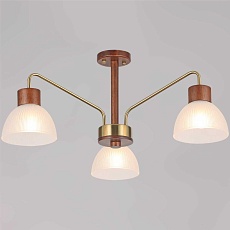 Потолочный светильник ILLUMICO IL0286-3C-79 BR