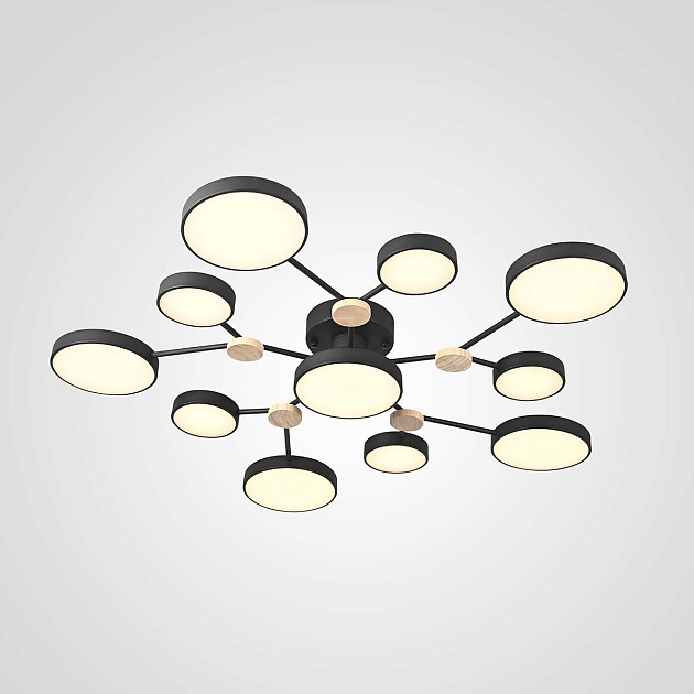 Потолочная люстра Imperium Loft 223770-23 изображение 1 Потолочная люстра Imperium Loft 223770-23 Фото № 1