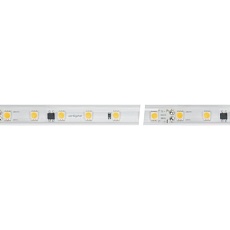 Светодиодная влагозащищенная лента Arlight 8W/m 54LED/m 5060SMD теплый белый 50M 027058(2)