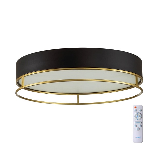 Потолочный светодиодный светильник Sonex Avra Lofty 7723/65L изображение 1 Потолочный светодиодный светильник Sonex Avra Lofty 7723/65L Фото № 1
