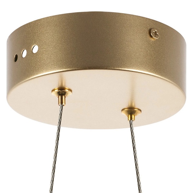 Подвесная светодиодная люстра Lightstar Varese 731303 Фото № 3