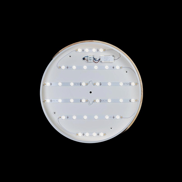 Потолочный светодиодный светильник Loft IT Axel 10004/36 white фото 6