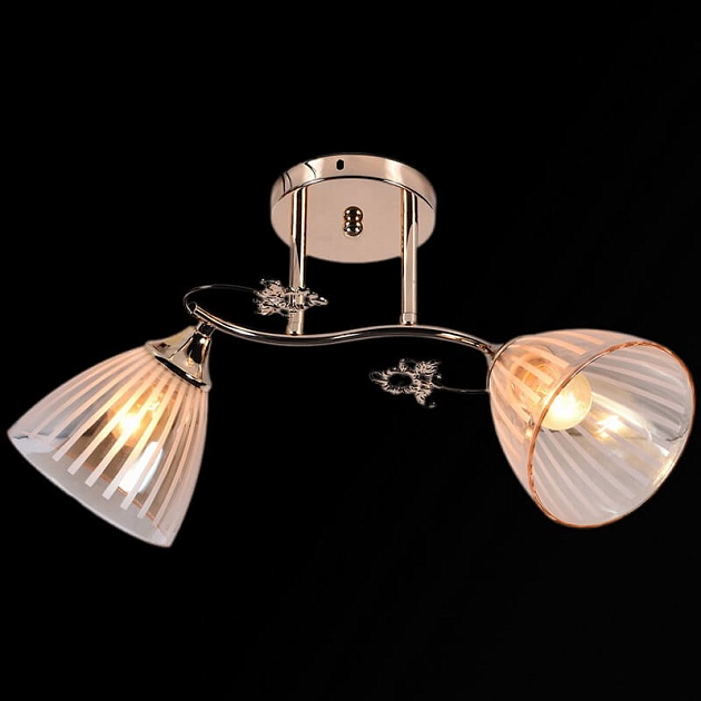 Потолочный светильник Reluce 01149-0.3-02 изображение 1 Потолочный светильник Reluce 01149-0.3-02 Фото № 1