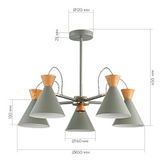 Потолочная люстра Evoluce Modica SLE125112-05 3