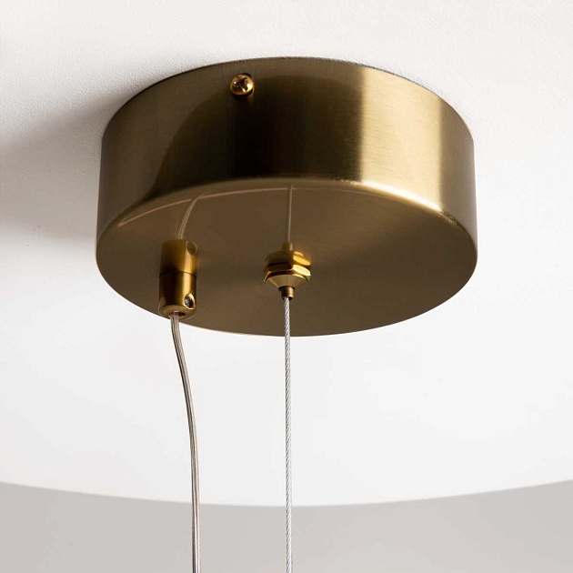 Подвесной светильник Maytoni MOD289PL-L53BS3K Фото № 4