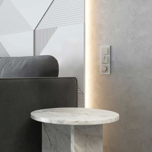 Диммер (дымчатый) W1242004/ a069461 Фото № 2