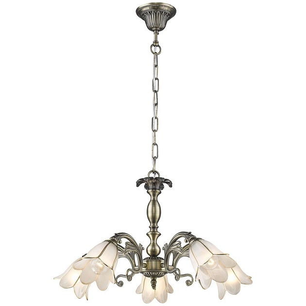 Подвесная люстра Velante 181-503-05 изображение 1 Подвесная люстра Velante 181-503-05 Фото № 1