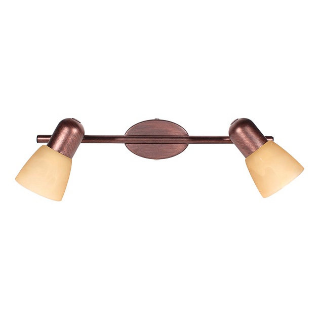Спот Toplight Maxine TL1235Y-02AB изображение 1 Спот Toplight Maxine TL1235Y-02AB Фото № 1