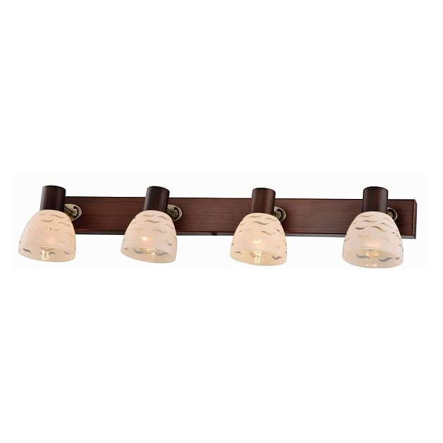 Спот Toplight Shayla TL3730Y-04BB Фото № 1