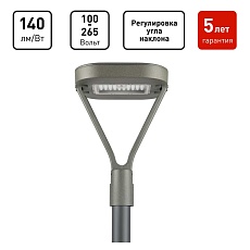 Светильник светодиодный садово-парковый ЭРА SPP-505-0-50K-050 50Вт 5000K IP65 серый Б0062718