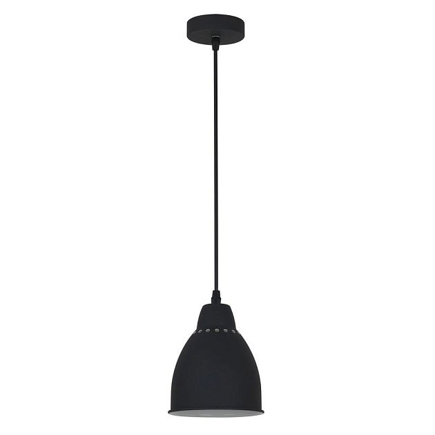 Подвесной светильник Camelion PL-430S-1 C02 13081 изображение 1 Подвесной светильник Camelion PL-430S-1 C02 13081 Фото № 1