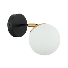 Бра Evoluce FORLI SLE220401-01 3
