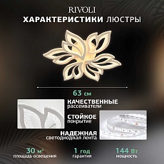 Потолочная светодиодная люстра Rivoli Teodora 6149-106 Б0066418 3