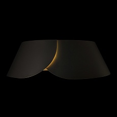 Потолочный светильник LOFT IT Lane 10370 Black 2