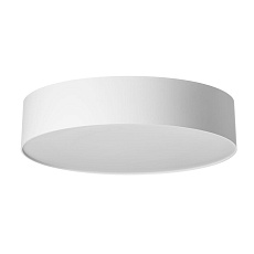 Светильник потолочный Citilux BART CL755290 1